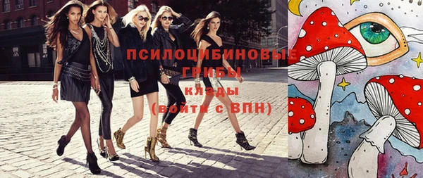 гидропоника Магас