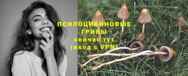 ALPHA PVP Магадан