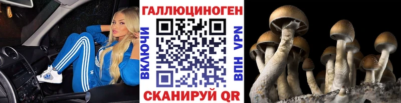 Псилоцибиновые грибы Psilocybe купить наркоту darknet клад Стрежевой