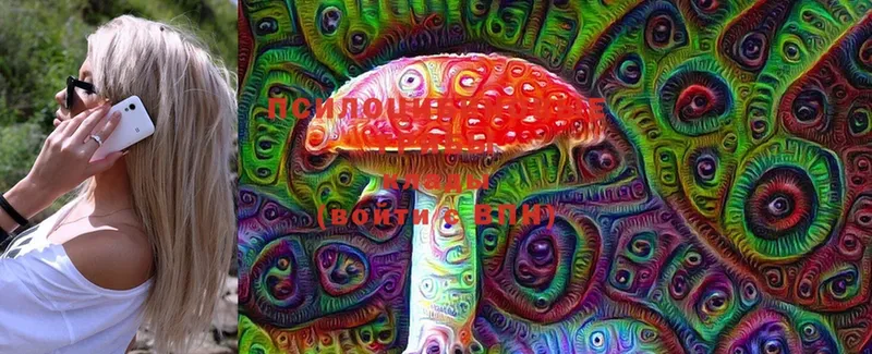 цена   ОМГ ОМГ как войти  Галлюциногенные грибы MAGIC MUSHROOMS  Стрежевой 