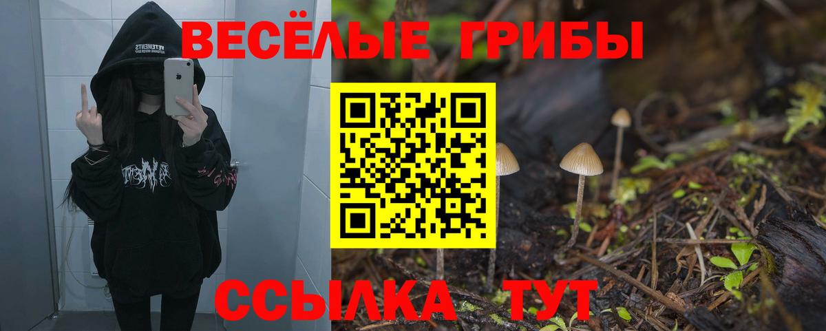 Псилоцибиновые грибы GOLDEN TEACHER  Галлюциногенные грибы Magic Shrooms  Стрежевой  Вход с VPN 